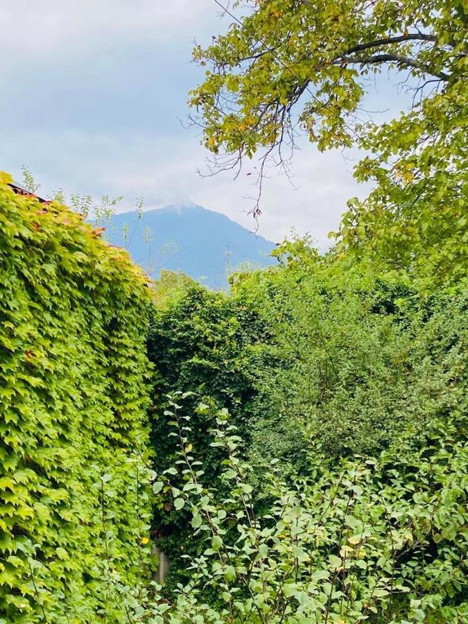Hotel Green House Lagodekhi Zewnętrze zdjęcie