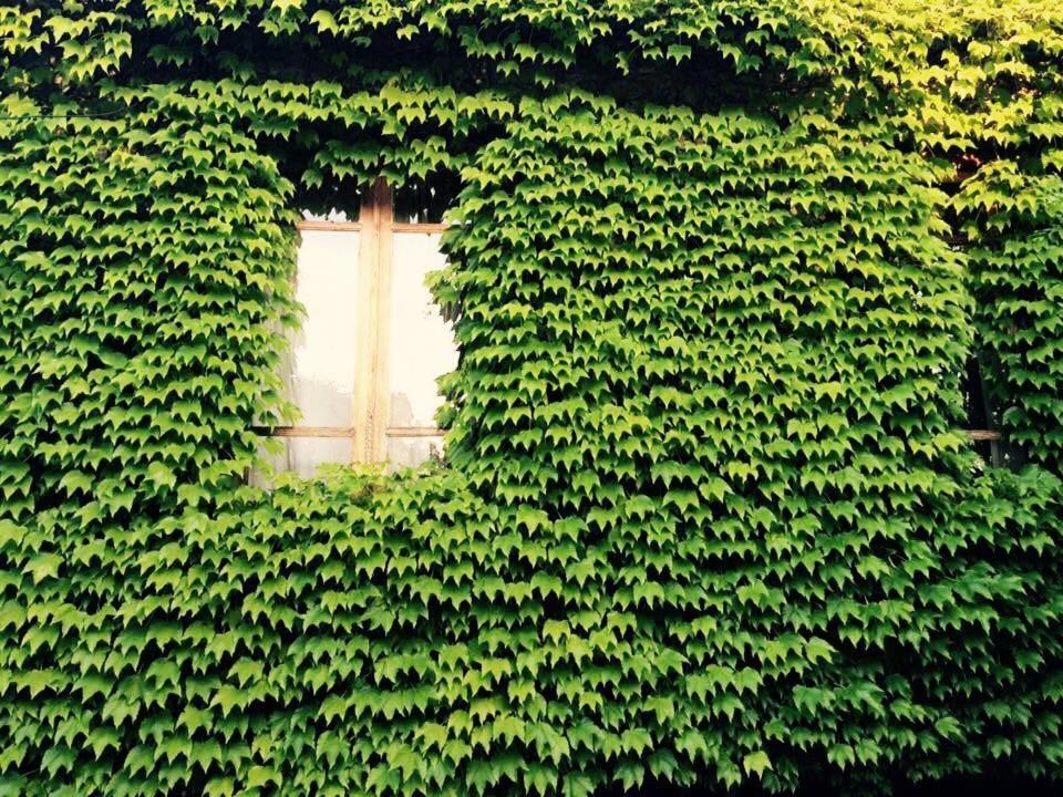 Hotel Green House Lagodekhi Zewnętrze zdjęcie