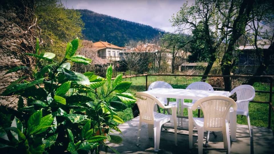 Hotel Green House Lagodekhi Zewnętrze zdjęcie